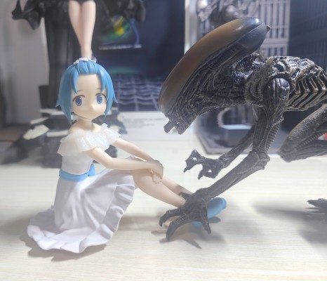 Serenus couture 魔法少女小圆 剧场版 [新篇] 叛逆的物语  美树沙耶香