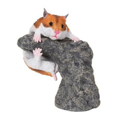 生物大图鉴 卷手指系列 小动物