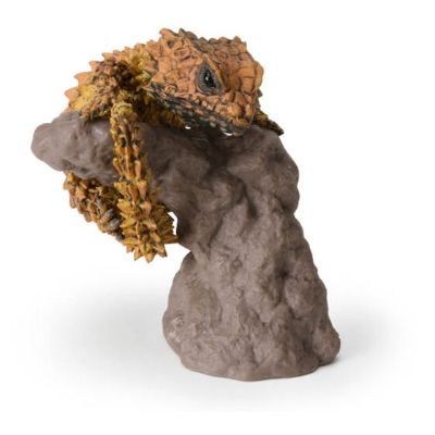 生物大图鉴 卷手指系列 犰狳蜥 与 球蟒