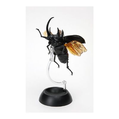 生物大图鉴 甲虫 2