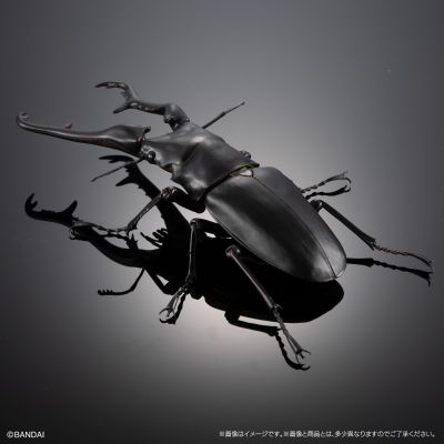 高级生物大图鉴 长颈鹿锯锹