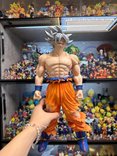 巨型系列  龙珠超 孙悟空 自在极意功