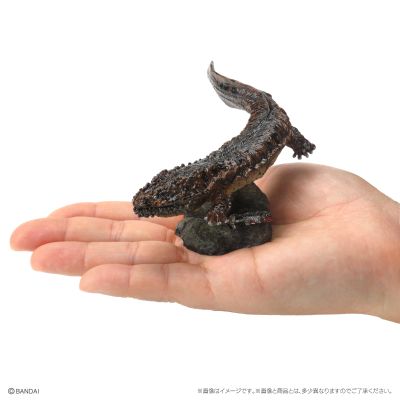 生物大图鉴 迷你系列 两栖类