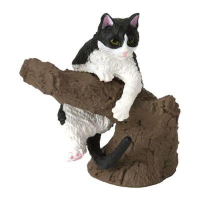 生物大图鉴 卷手指系列 猫