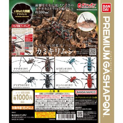 进化生物大图鉴 天牛