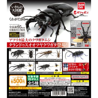 生物大图鉴 锹甲 4