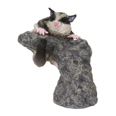 生物大图鉴 卷手指系列 小动物