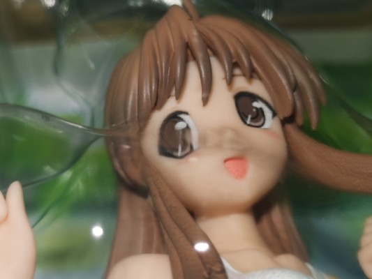 月は东に日は西に 藤枝保奈美 白スク水Ver.