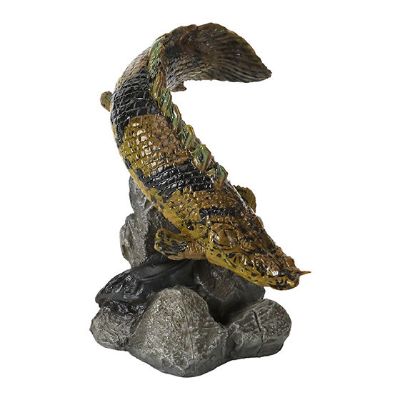 生物大图鉴 迷你系列 古代鱼2