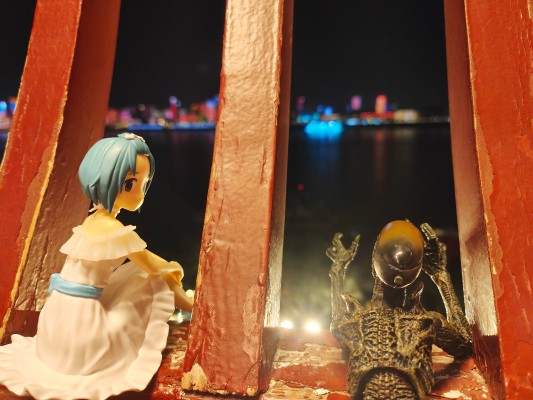 Serenus couture 魔法少女小圆 剧场版 [新篇] 叛逆的物语  美树沙耶香