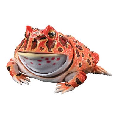 进化生物大图鉴 角蛙