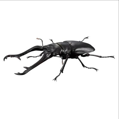 高级生物大图鉴 长颈鹿锯锹