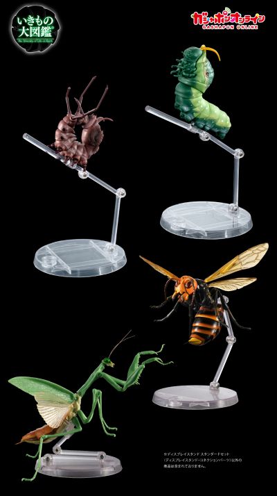 生物大图鉴专用 展示支架 标准型合集