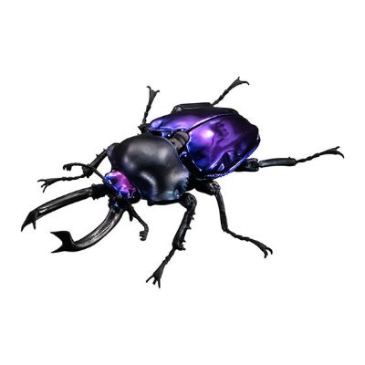 进化生物大图鉴 彩虹锹甲