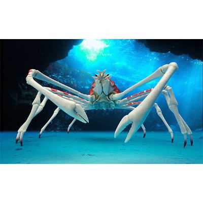 生物大图鉴 螃蟹 2