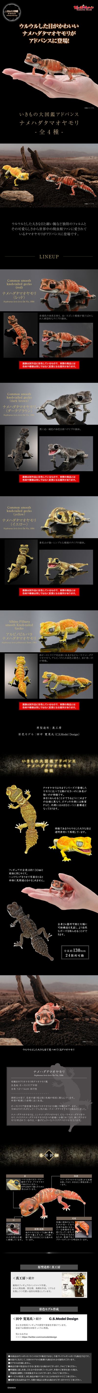 进化生物大图鉴 细皮瘤尾壁虎