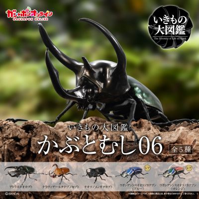 生物大图鉴 甲虫 6