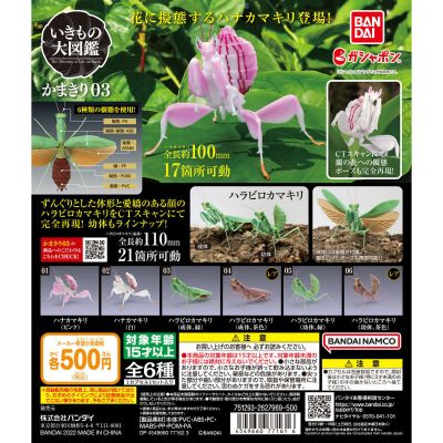 生物大图鉴 螳螂 3