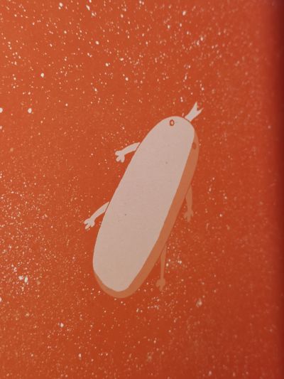 emotion style  超时空要塞F 虚空歌姬  李兰花