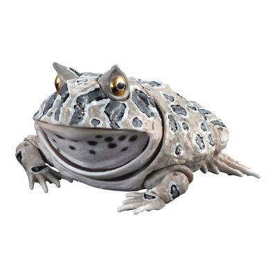 进化生物大图鉴 角蛙