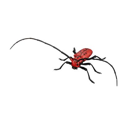 进化生物大图鉴 天牛