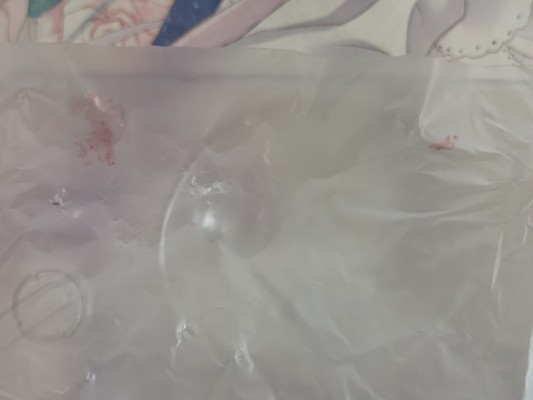 ROBOTICS；NOTES(ロボティクス・ノーツ) 濑乃宫秋穗 猫耳もーどVer.