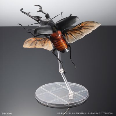 高级生物大图鉴 长颈鹿锯锹