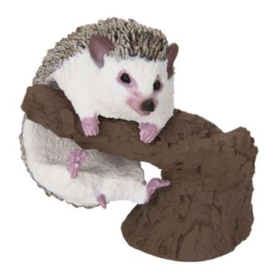 生物大图鉴 卷手指系列 小动物