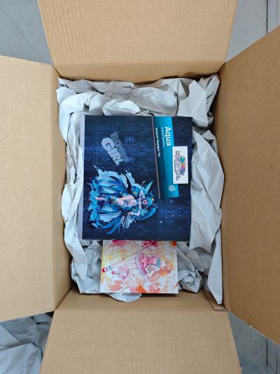 爆弹女孩 蕾文西亚・阿葵亚布尔 吸血鬼内衣