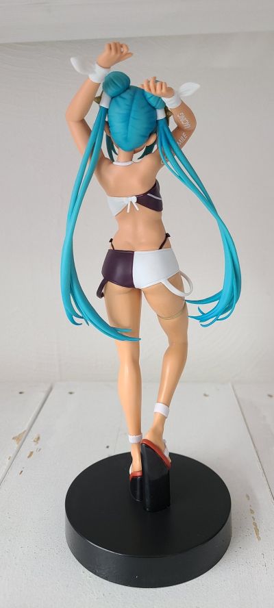 初音未来GT计划 赛车未来2023 热带女郎