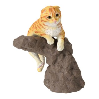 生物大图鉴 卷手指系列 猫