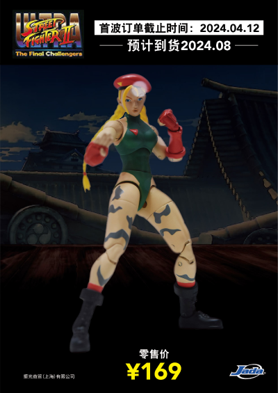 终极街霸2：最后的挑战者 嘉米·怀特