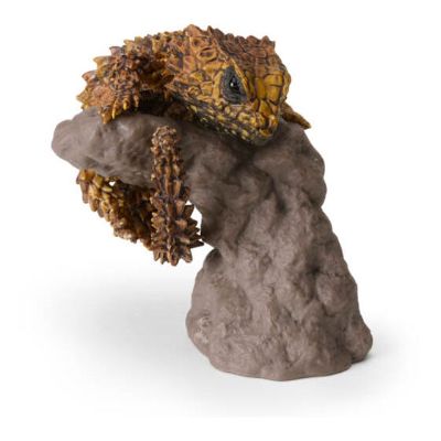 生物大图鉴 卷手指系列 犰狳蜥 与 球蟒