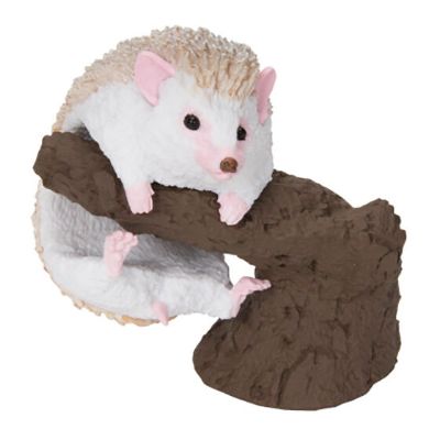 生物大图鉴 卷手指系列 小动物