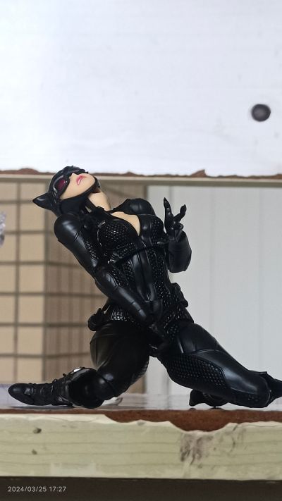 转轮科技系列 惊奇山口 蝙蝠侠：阿卡姆骑士  猫女