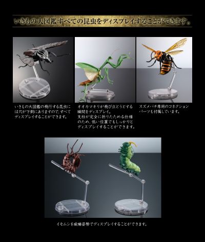 生物大图鉴专用 展示支架 标准型合集