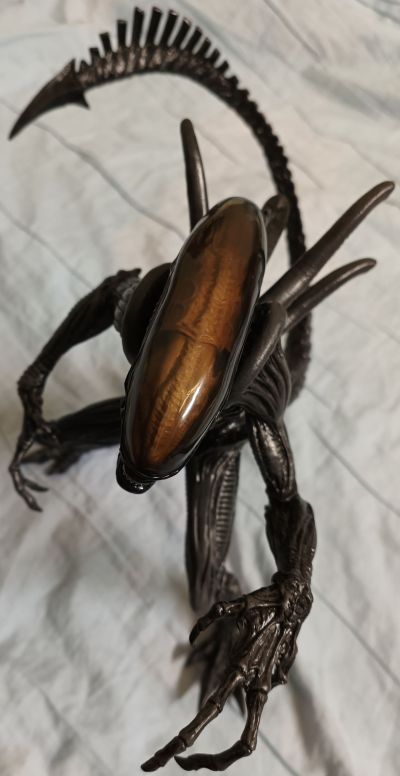 Super Special 系列 Alien: Resurrection Alien Warrior