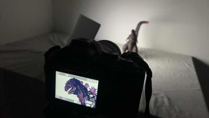 S.H.MonsterArts 新哥斯拉 哥斯拉（2016） 第四形态  冻结版