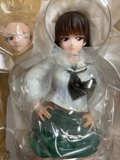 Dream Tech 少女与战车 战车道大作战！ 西住志穗【大洗女子】