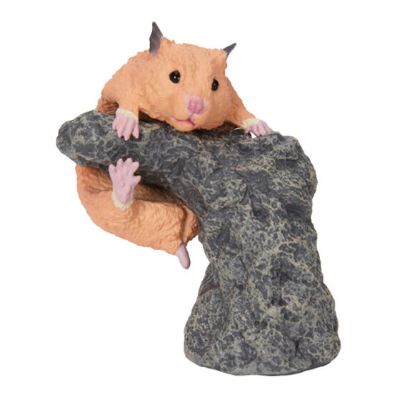 生物大图鉴 卷手指系列 小动物