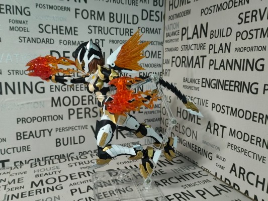 影系列 RS-03 寅虎