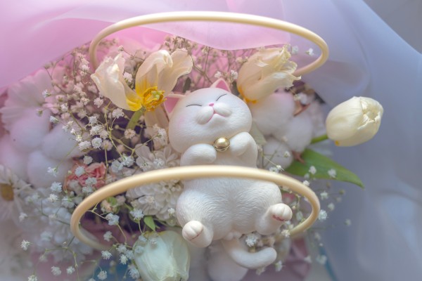 喵喵满袋 午睡时光