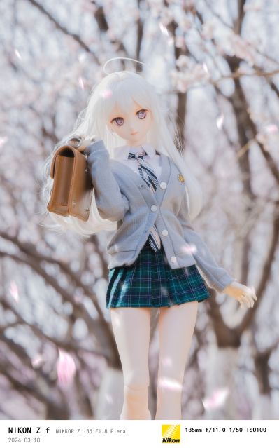 Dollfie Dream 