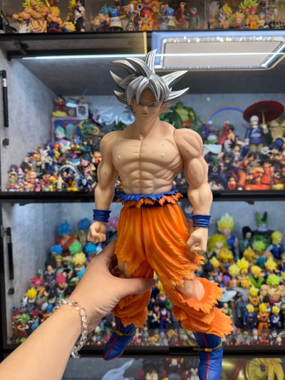 巨型系列  龙珠超 孙悟空 自在极意功