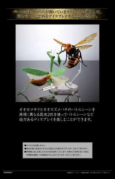 生物大图鉴专用 展示支架 标准型合集