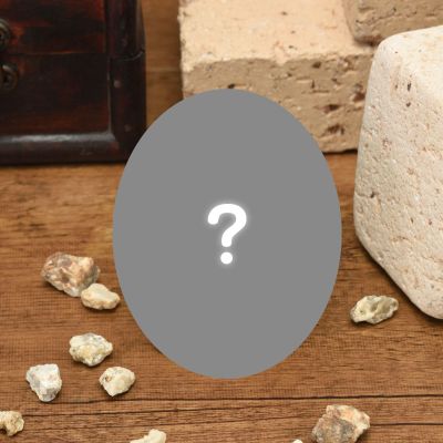 大眼萌我 精细人偶 迷宫饭  伊津津美+法琳