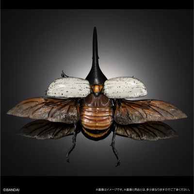 高级生物大图鉴 长戟大兜虫（利奇氏亚种）