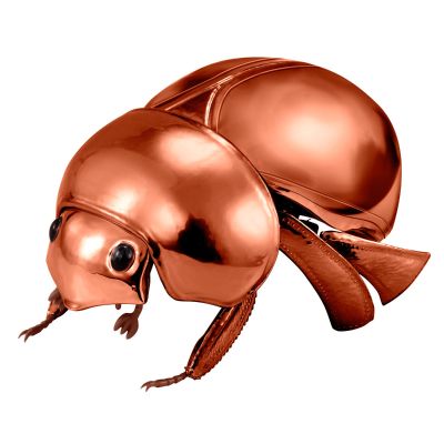 生物大图鉴 金属暗球驼金龟甲 套装