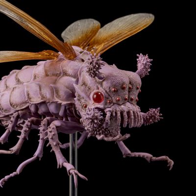 竹谷式自在置物 风之谷 牛虻 原作配色/电影配色/透明配色