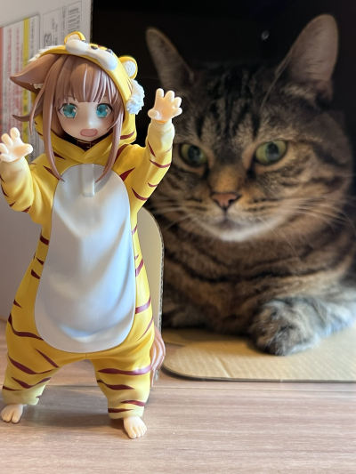 Palette 我家的猫是可爱女孩 换装系列 老虎黄豆粉